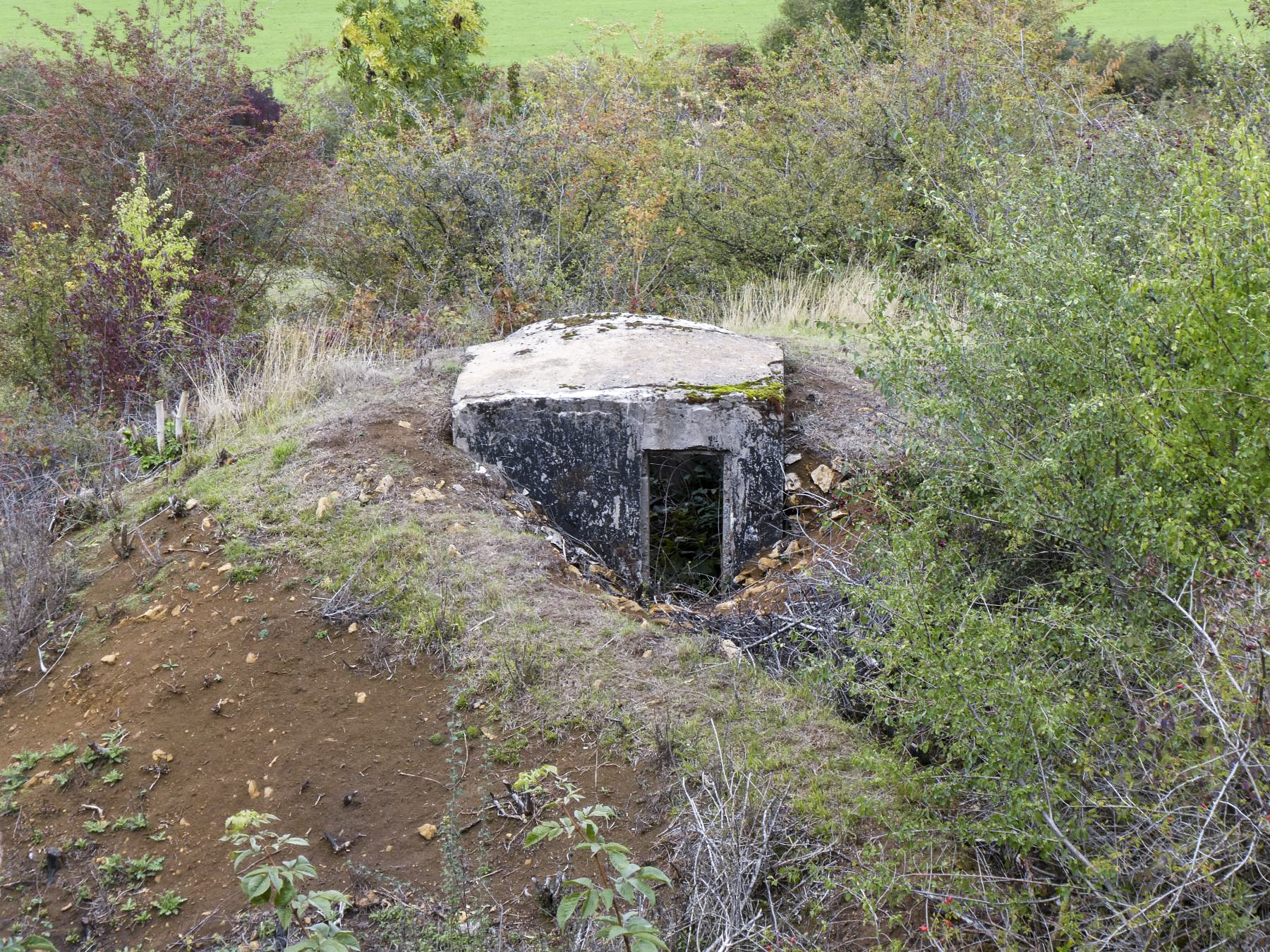 Ligne Maginot - SAINT WALFROY NORD-EST - (Observatoire d'infanterie) - 