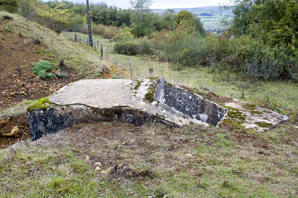 Ligne Maginot - SAINT WALFROY NORD-OUEST - (Observatoire d'infanterie) - 