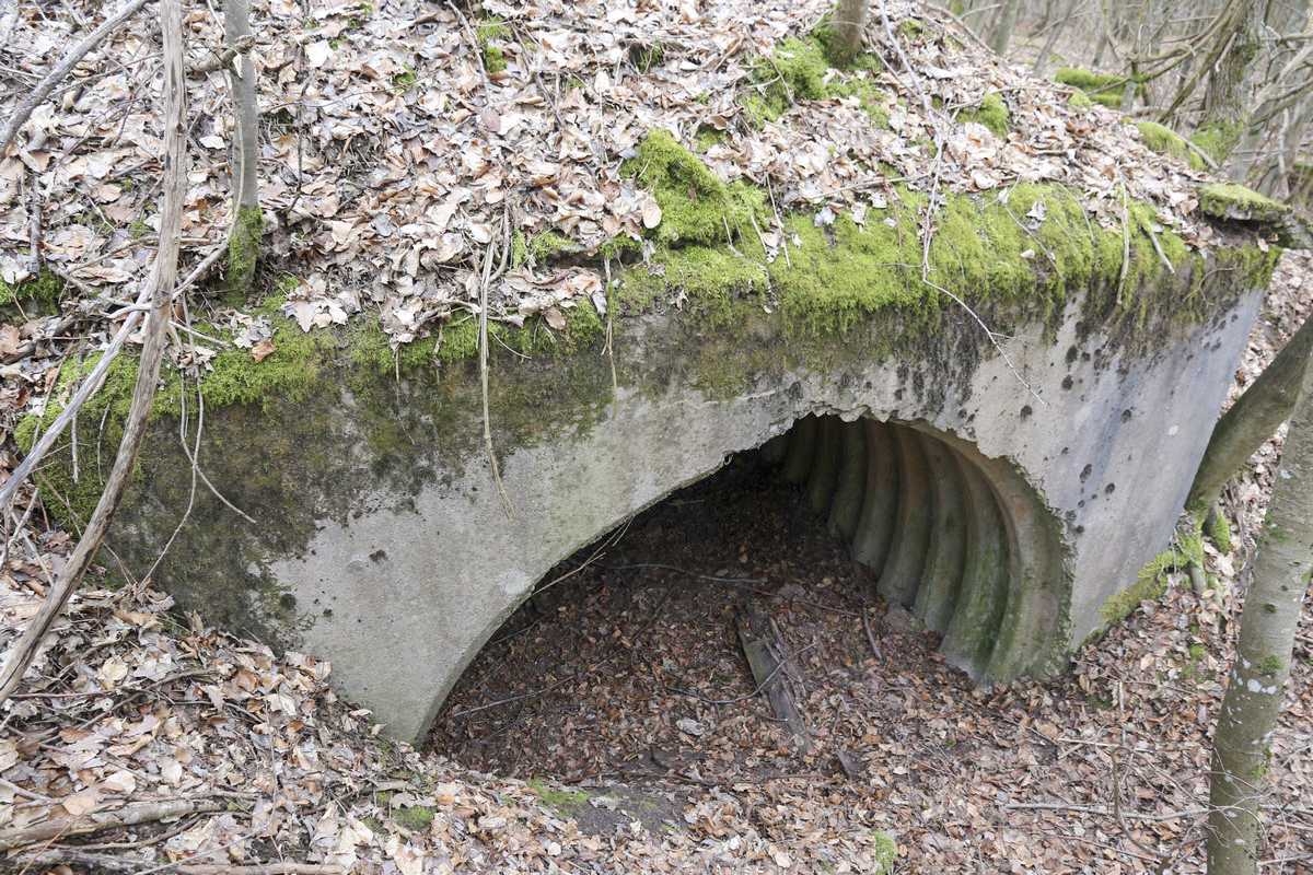 Ligne Maginot - MITTELSWALD (CM5/II/82° RMIF - SOUS-QUARTIER BOIS-HACHETTE) - (PC de Sous-Quartier) - L'unique abri trouvé