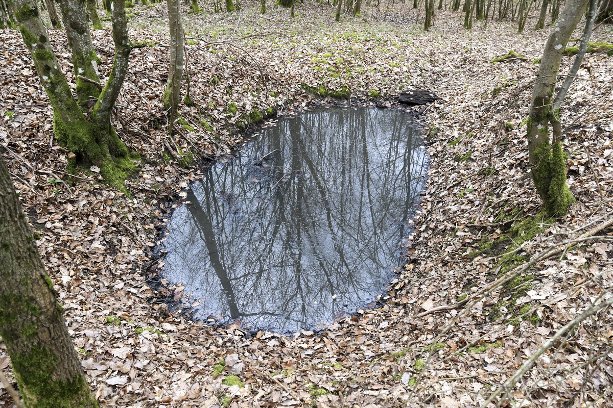 Ligne Maginot - MITTELSWALD (CM5/II/82° RMIF - SOUS-QUARTIER BOIS-HACHETTE) - (PC de Sous-Quartier) - Emplacements de cagnas à proximité
