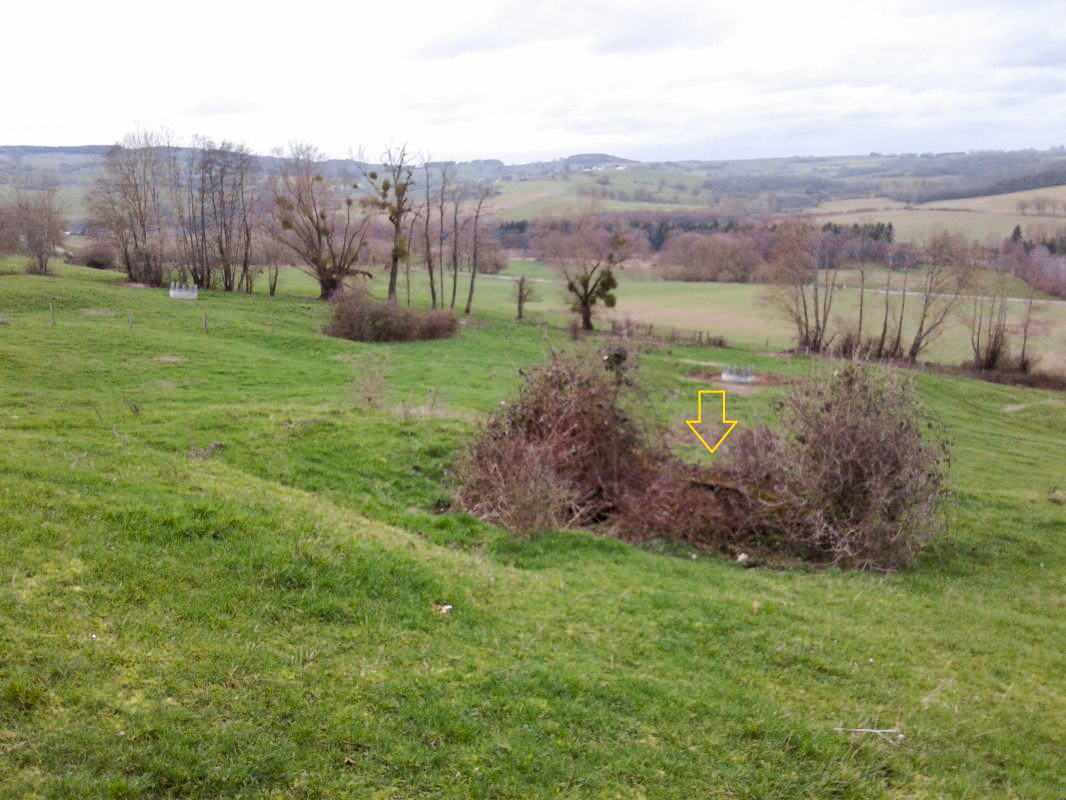 Ligne Maginot - T17BIS - (Cuve pour arme d'infanterie) - Vue Est.
L'emplacement se situe dans le bosquet.
