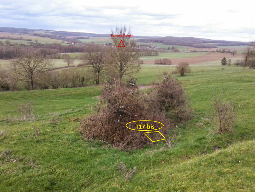 Ligne Maginot - T17BIS - (Cuve pour arme d'infanterie) - Vue Ouest.
L'emplacement se situe dans le bosquet. Le triangle rouge indique le clocher d'Avioth.
