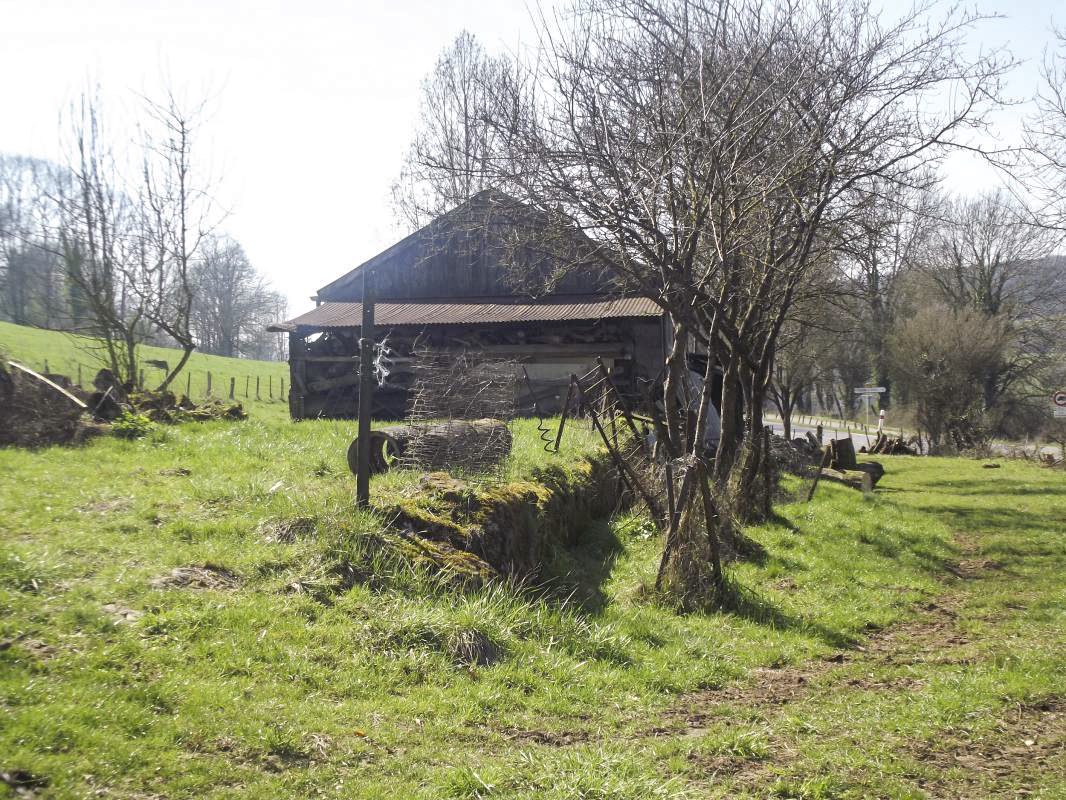 Ligne Maginot - THONNELLE - (Camp de sureté) - Vue sur les fondations d'un bâtiment disparu, on remarque la queue de cochon planté au milieu.