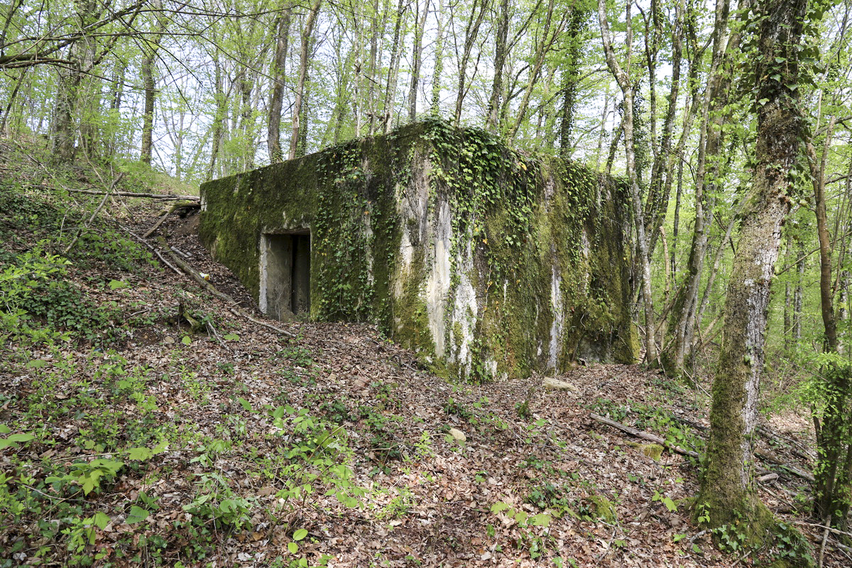 Ligne Maginot - A26 - (Blockhaus pour canon) - 