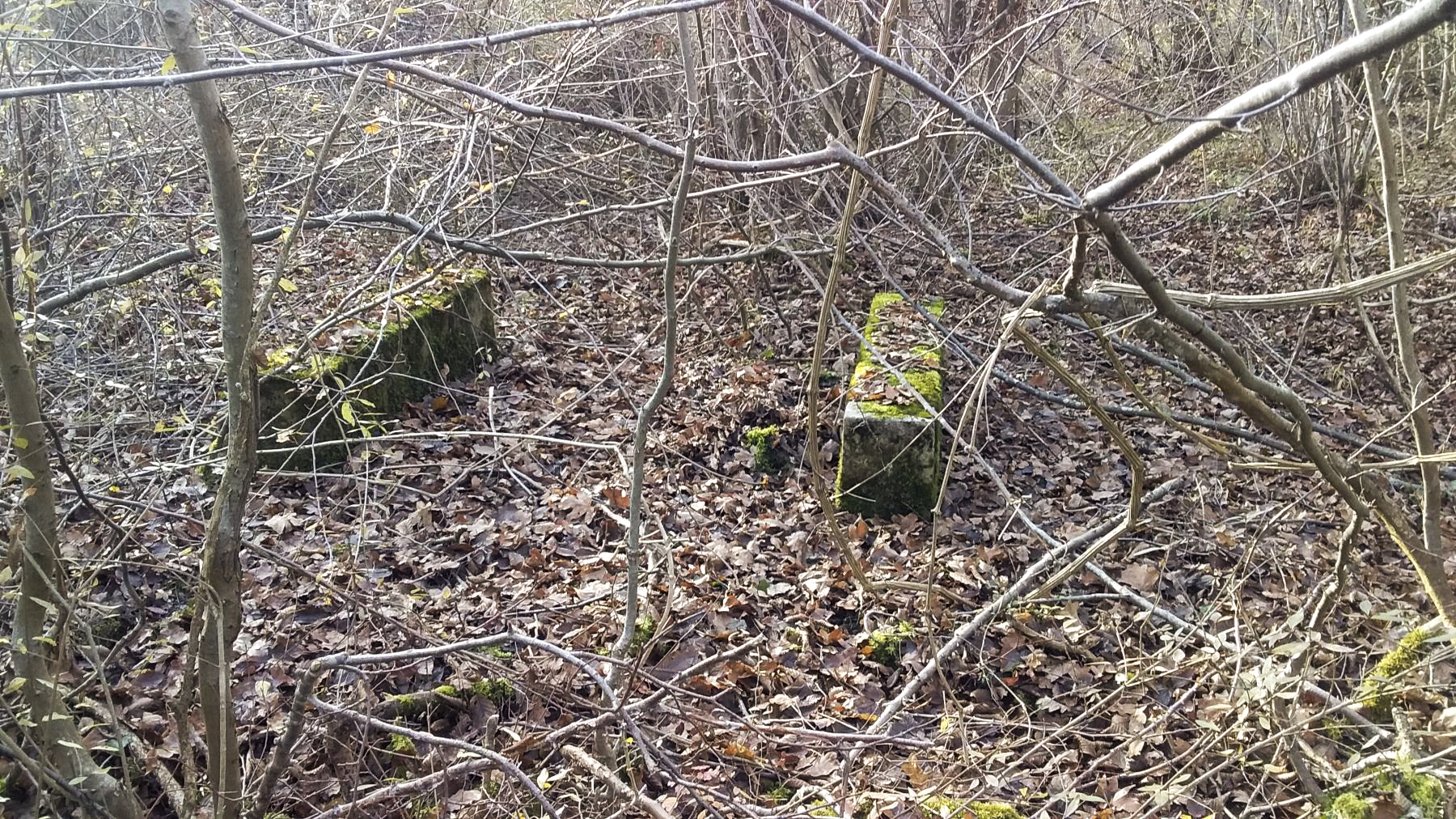 Ligne Maginot - BOIS DE DURRENENTZEN - (Dépôt de Munitions) - Restes de fondations du dépôt de munitions