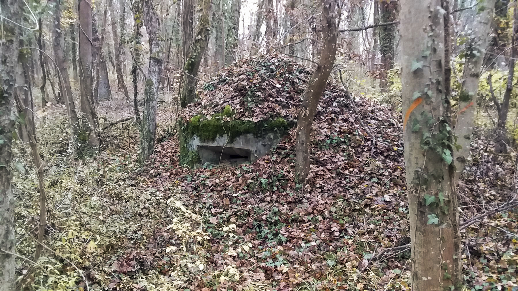 Ligne Maginot - BOIS DE DURRENENTZEN - (Dépôt de Munitions) - La deuxième guérite d'observation en béton