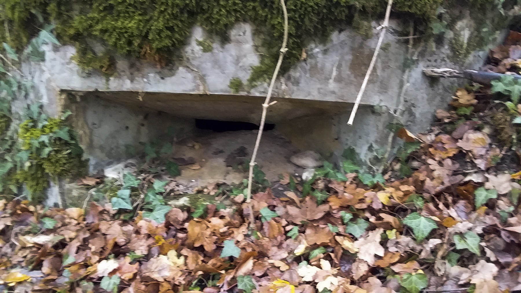 Ligne Maginot - BOIS DE DURRENENTZEN - (Dépôt de Munitions) - Fenêtre de la deuxième guérite d'observation en béton