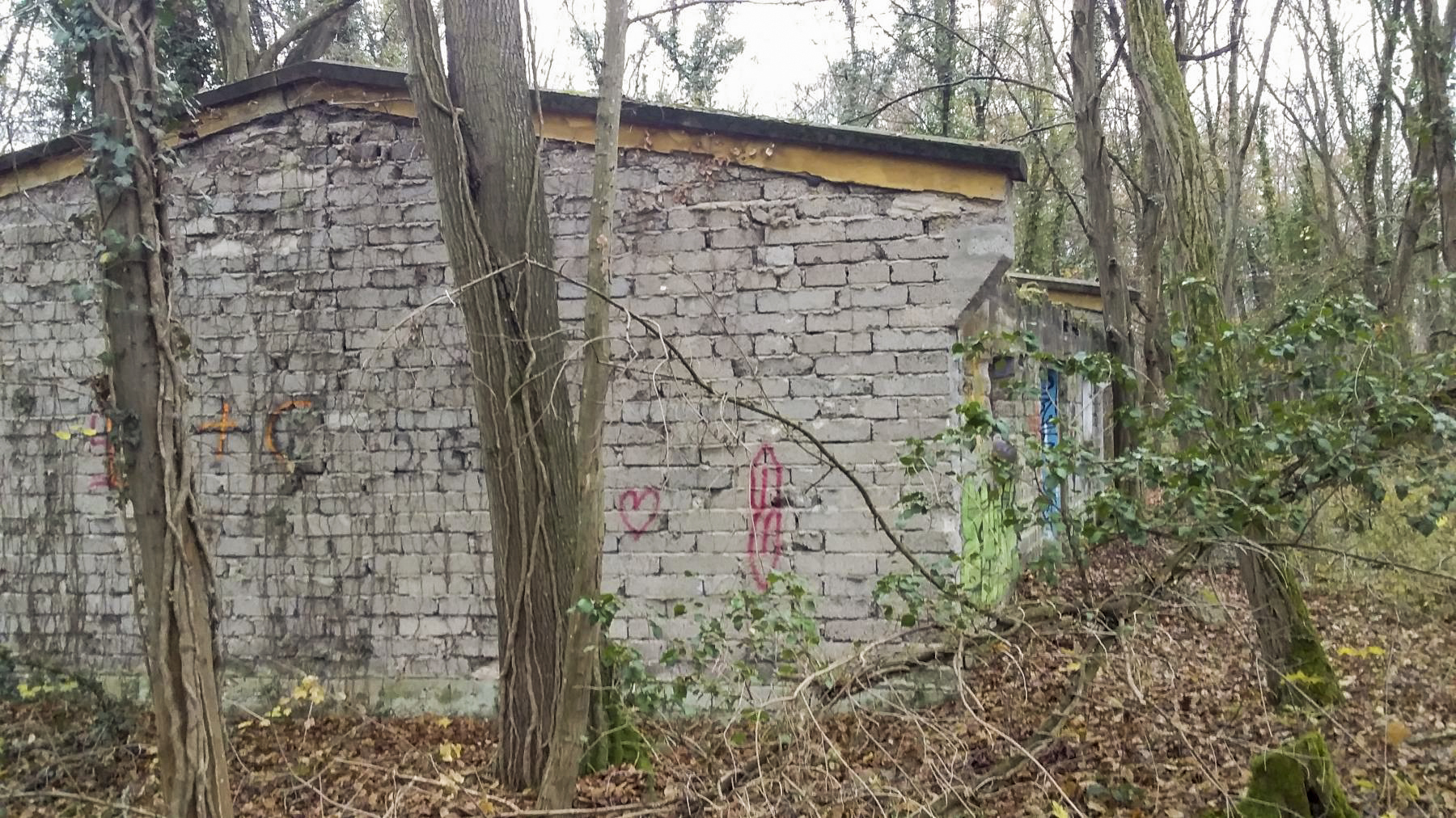 Ligne Maginot - BOIS DE DURRENENTZEN - (Dépôt de Munitions) - Batiment n°1
Cuisine ou buanderie selon témoignage d'un habitant de la commune 