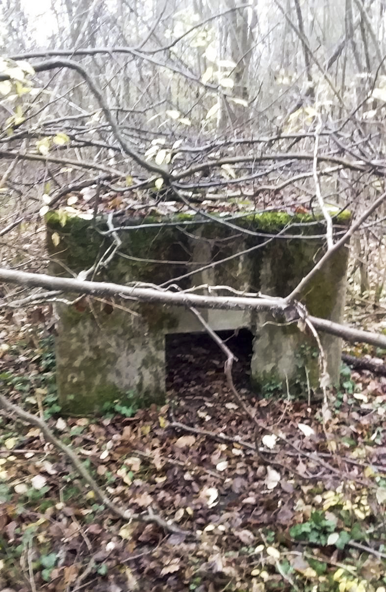 Ligne Maginot - BOIS DE DURRENENTZEN - (Dépôt de Munitions) - Incinérateur 