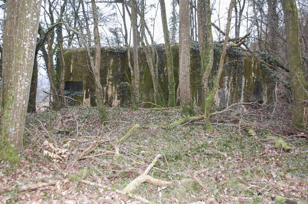 Ligne Maginot - G21 - (Blockhaus lourd type STG / STG-FCR - Simple) - Vue du créneau d'observation frontal de l'extérieur.