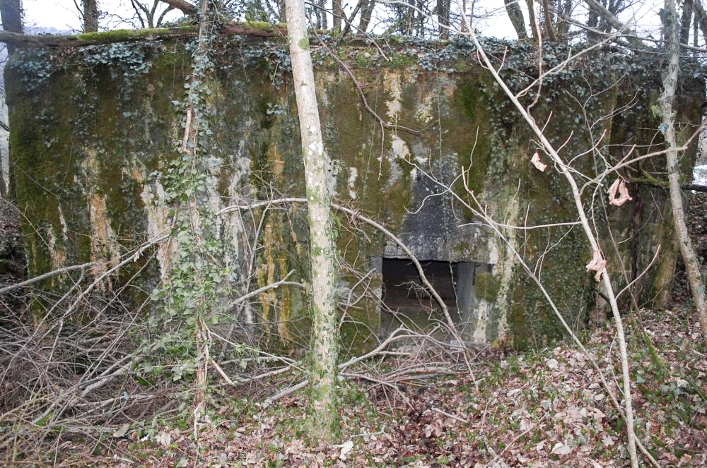 Ligne Maginot - G21 - (Blockhaus lourd type STG / STG-FCR - Simple) - L'ouvrage vu de l'arrière, l'entrée est située au centre mi-enterrée.