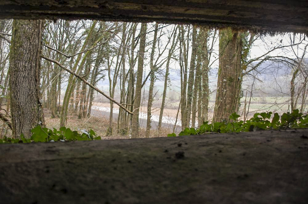 Ligne Maginot - G21 - (Blockhaus lourd type STG / STG-FCR - Simple) - Un regard par le créneau d'observation frontal 