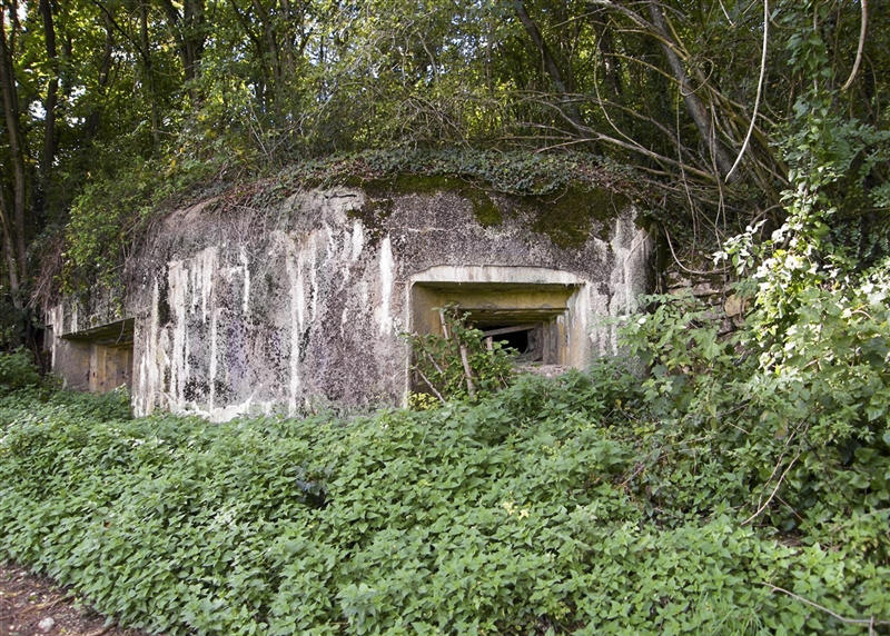 Ligne Maginot - MB18 - (Blockhaus pour canon) - Ouvrage à flanc de colline a peine visible