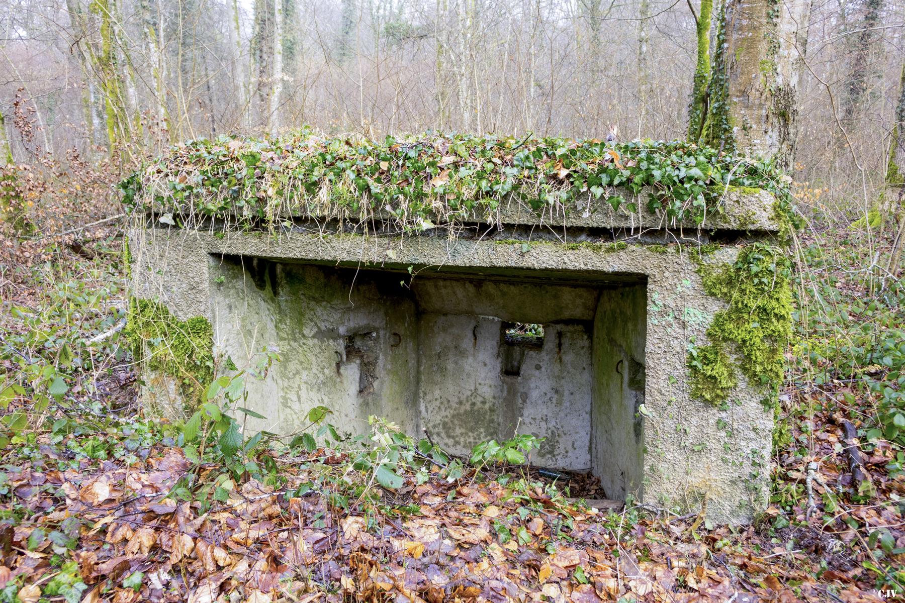 Ligne Maginot - MBA5 - (Blockhaus pour arme infanterie) - La face arrière