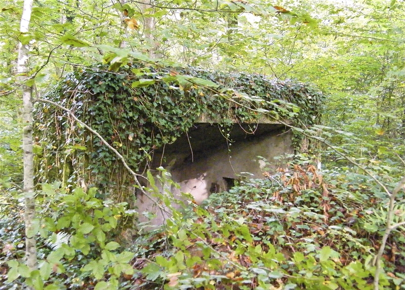 Ligne Maginot - MBA6 - (Blockhaus pour arme infanterie) - La face arrière