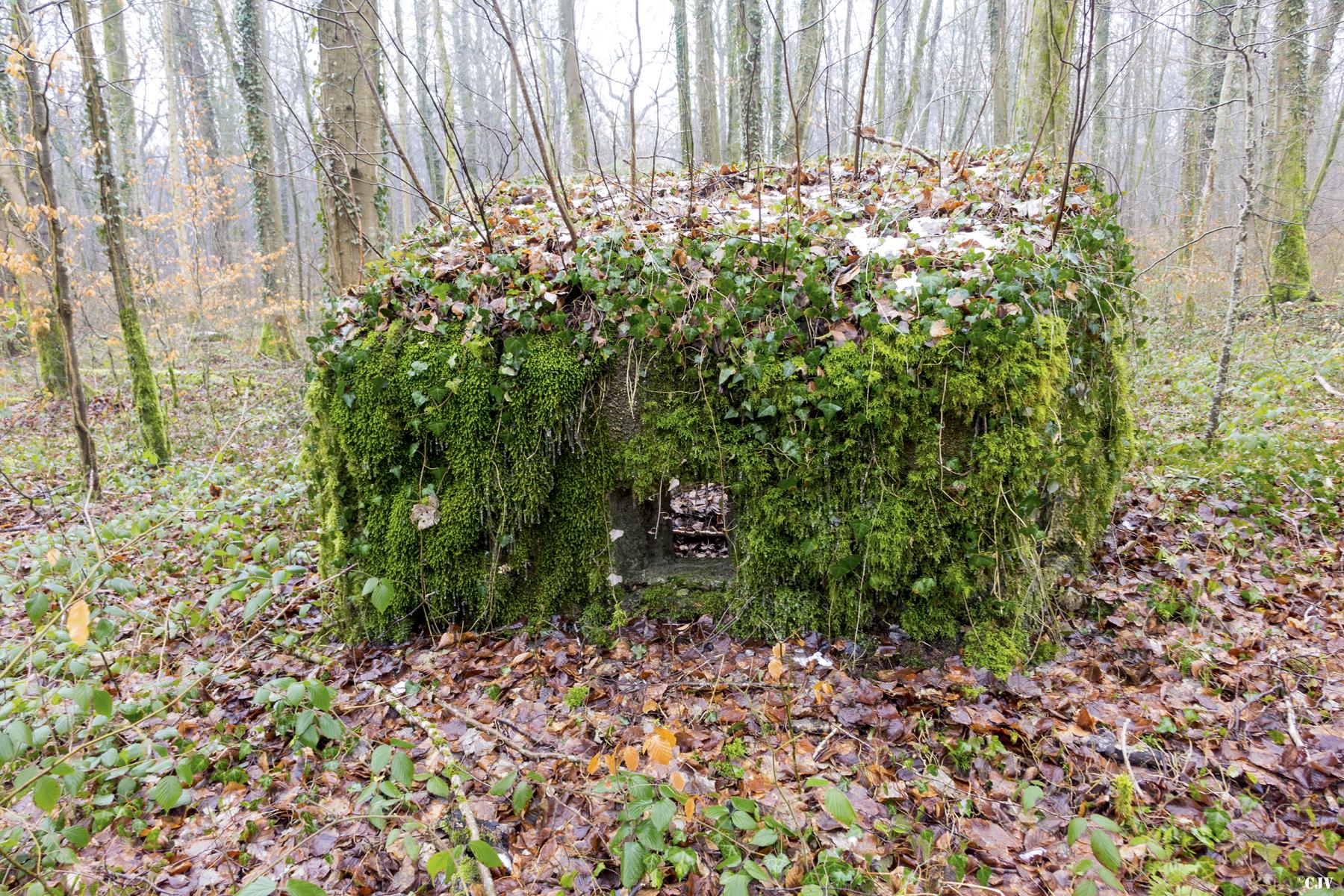 Ligne Maginot - MBA6 - (Blockhaus pour arme infanterie) - La face avant