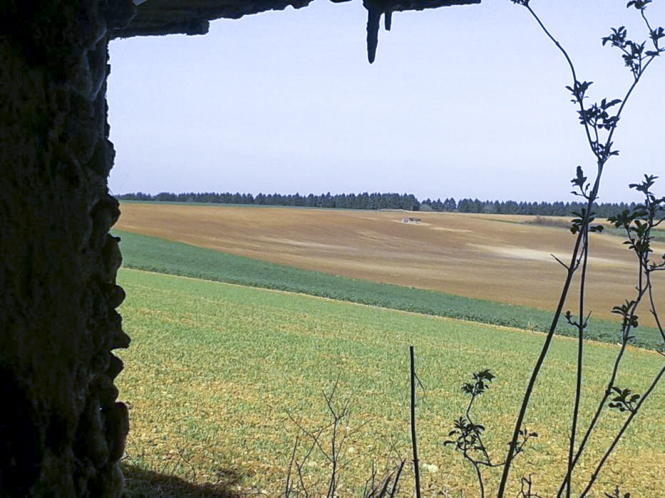 Ligne Maginot - MB41 - (Blockhaus lourd type STG / STG-FCR - Simple) - Depuis un des créneaux de tir on aperçoit le Mb26