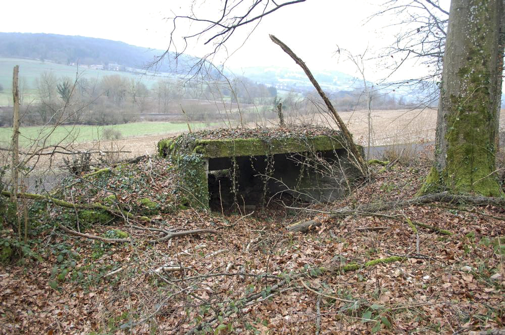 Ligne Maginot - MBO5 - (Blockhaus pour canon) - Son champ de tir, la voie ferrée Longuyon - Montmedy en contrebas 