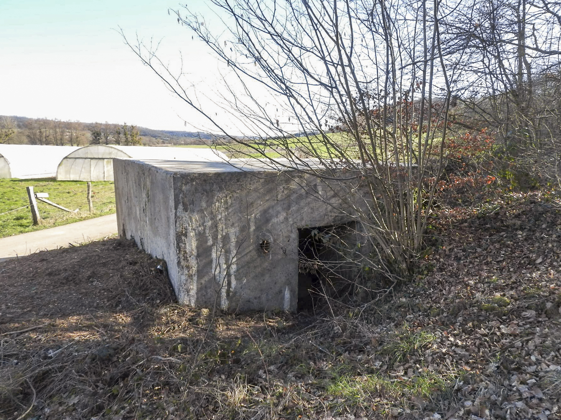 Ligne Maginot - CB164 - THEILBUSCH - (Blockhaus pour canon) - La façade arrière et l'entrée du blockhaus.