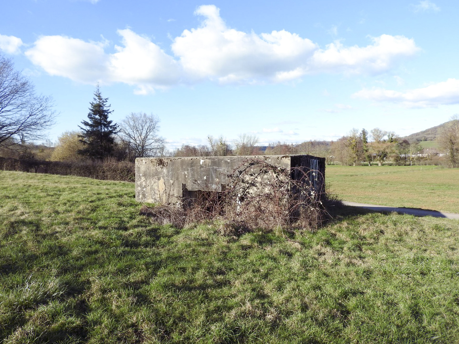 Ligne Maginot - CB160 - INGLANGE NORD - (Blockhaus pour canon) - La façade arrière et l'entrée.