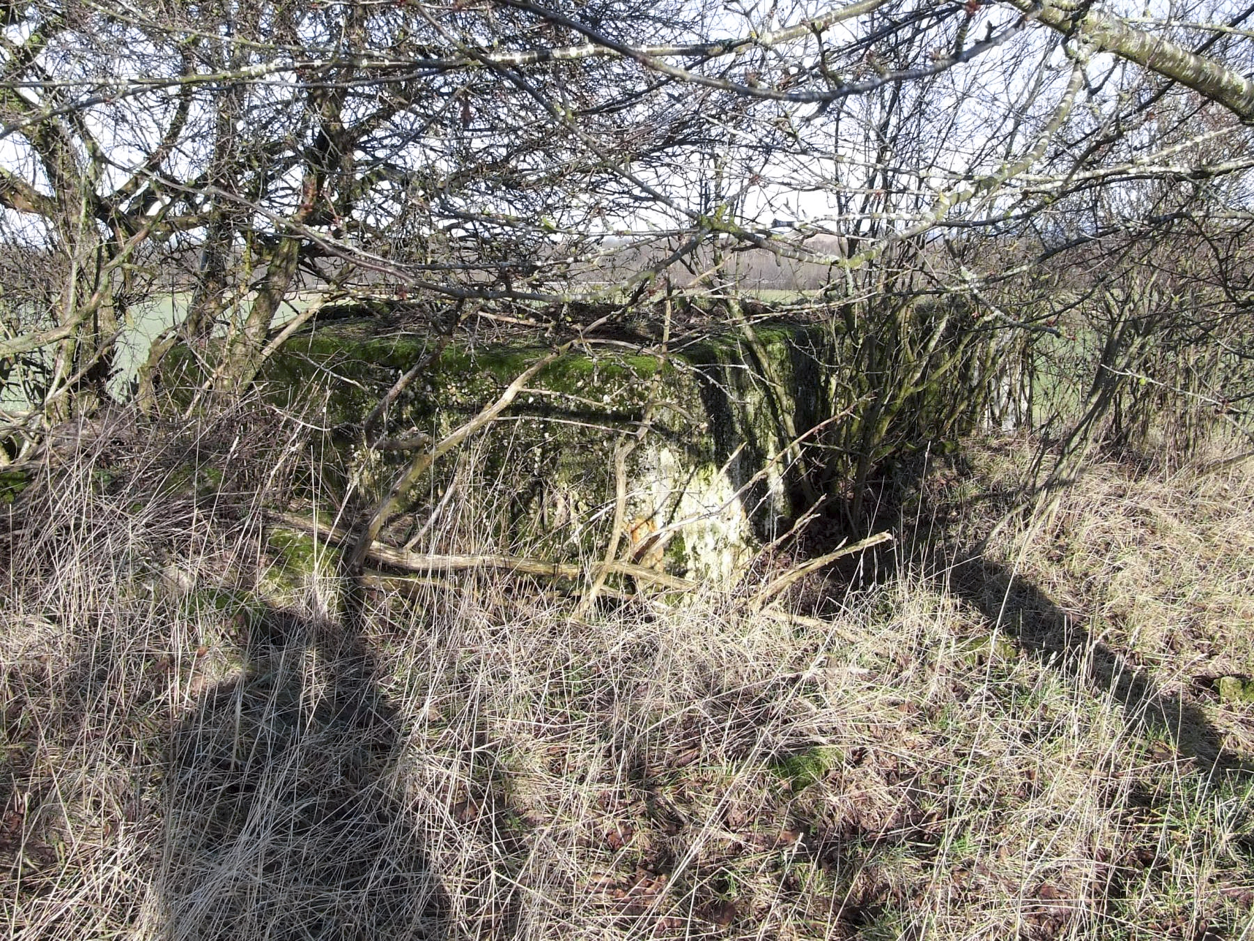 Ligne Maginot - AB7-E - BRANDSTUDEN  3 - (Blockhaus pour canon) - L'entrée est remblayée.