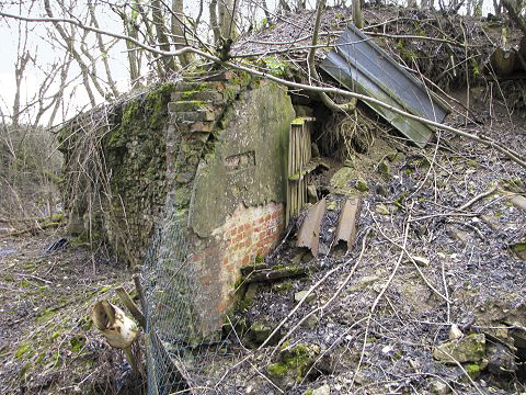 Ligne Maginot - AB37-II - TRITTELING NORD - (Abri) - Vue d'ensemble