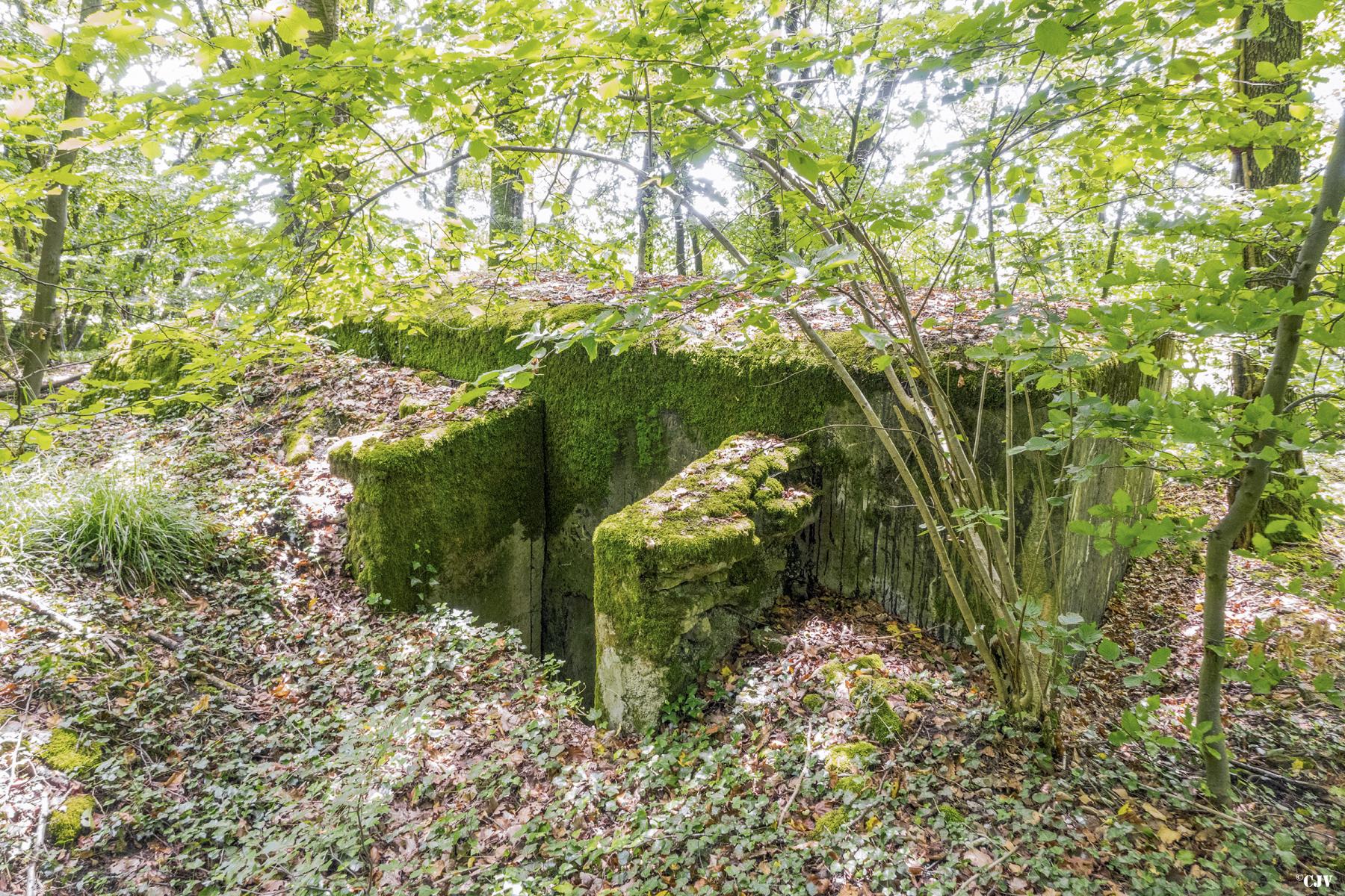 Ligne Maginot - AB39 - BAMBESCH SUD 3 - (Blockhaus pour arme infanterie) - L'entrée