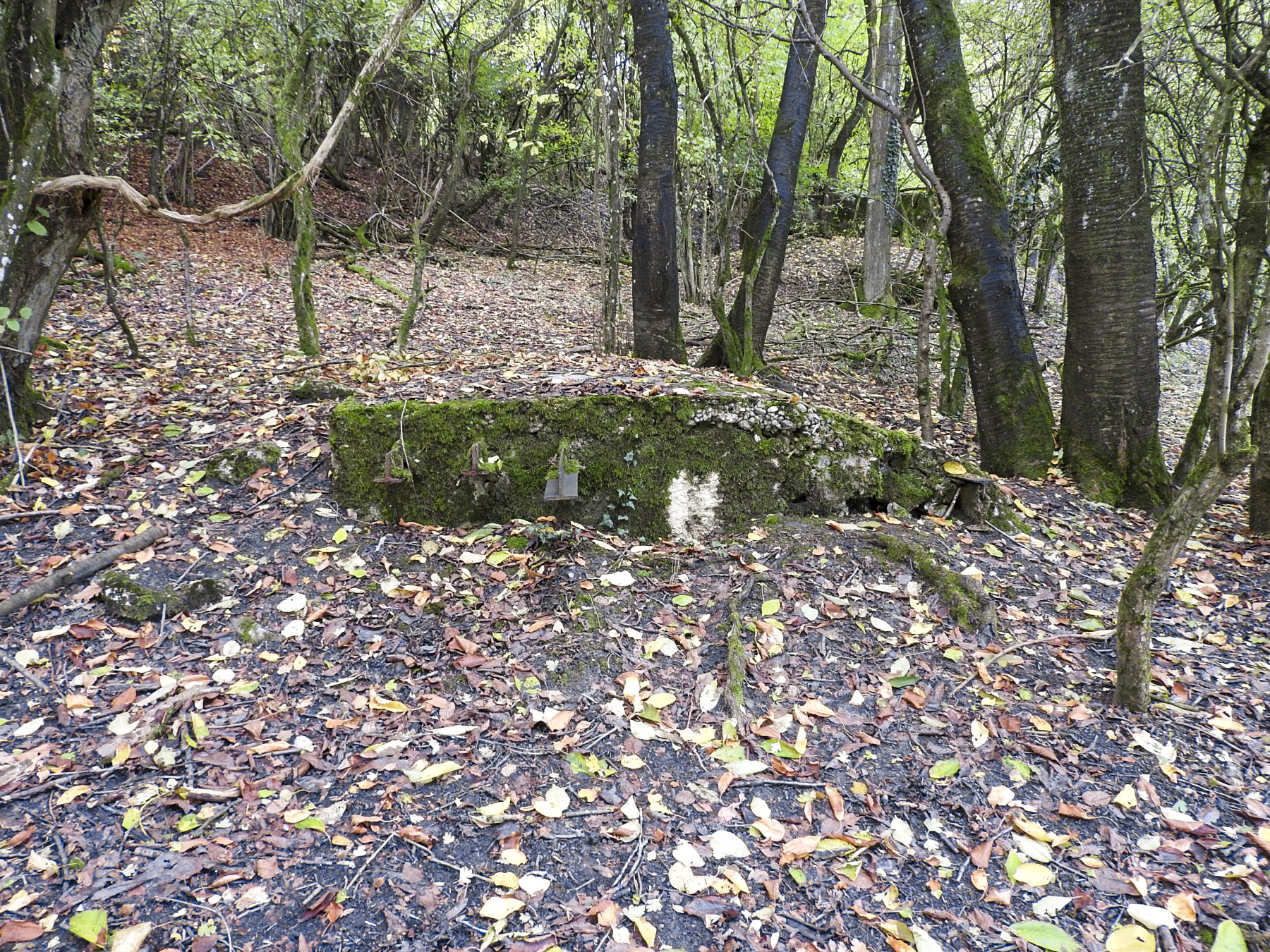 Ligne Maginot - BAUDSTUNDEN 3 - (Blockhaus pour arme infanterie) - 