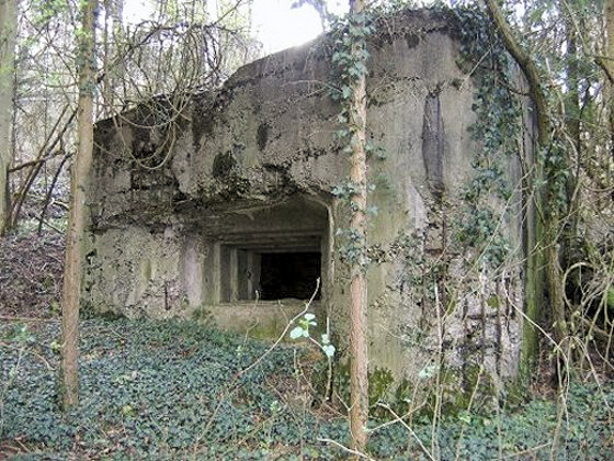 Ligne Maginot - GRAIBFELD Est (Blockhaus pour canon) - 