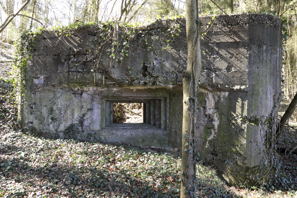 Ligne Maginot - GRAIBFELD EST - (Blockhaus pour canon) - 