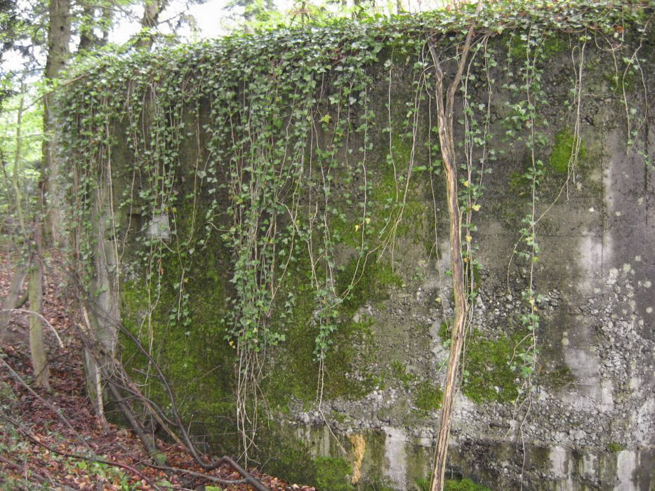 Ligne Maginot - BLOCHMONT EST - (Blockhaus pour arme infanterie) - Embrasure pour FM de flanquement Ouest