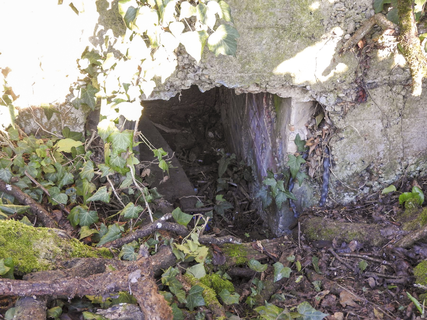 Ligne Maginot - CB611BIS - MOULIN BAS OUEST - (Blockhaus pour arme infanterie) - L'entrée du blockhaus.