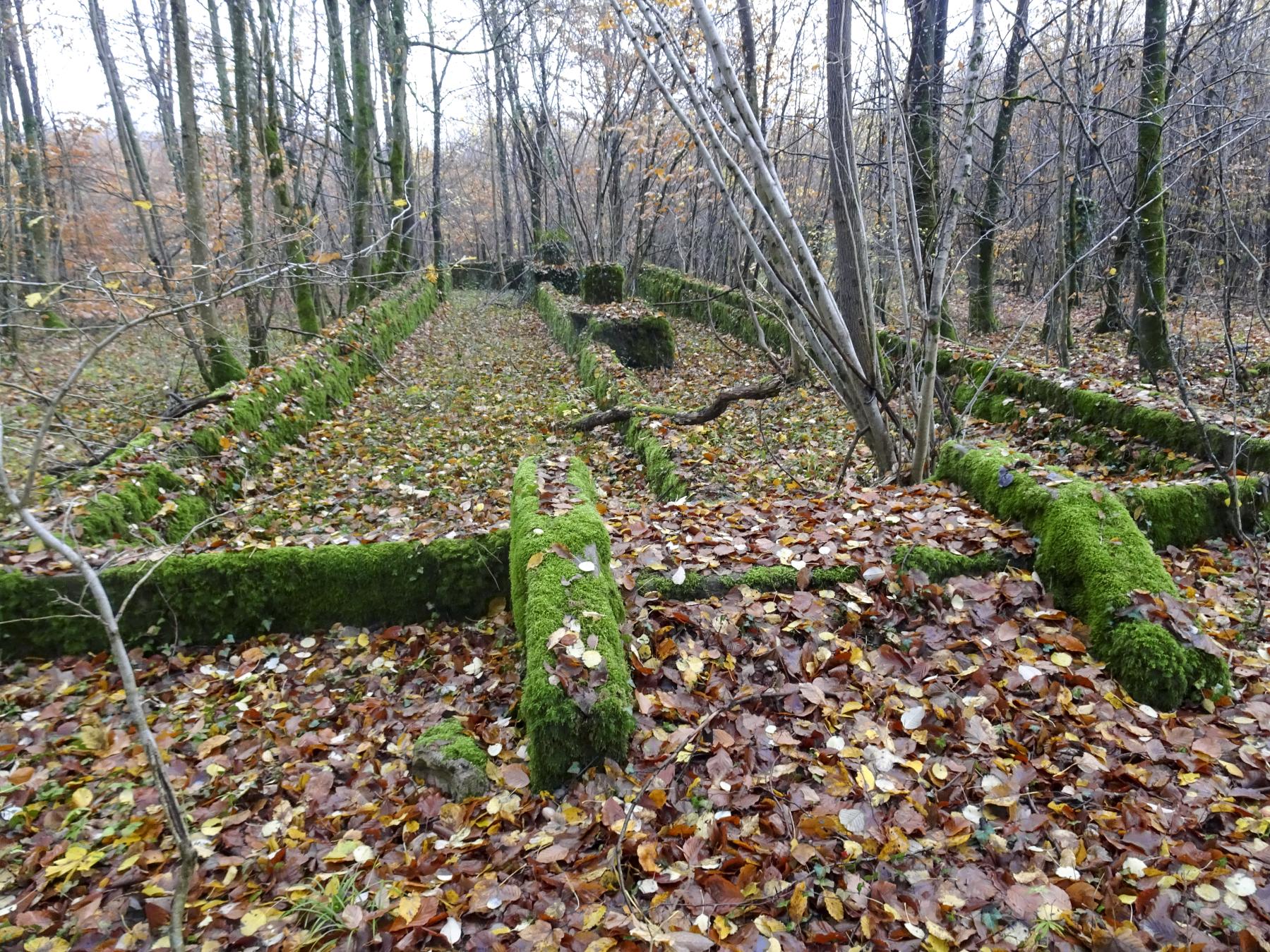 Ligne Maginot - BREHAIN - (Casernement) - Les restes du casernement