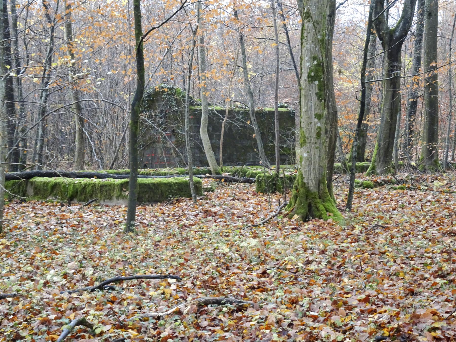 Ligne Maginot - BREHAIN - (Casernement) - Les restes du casernement