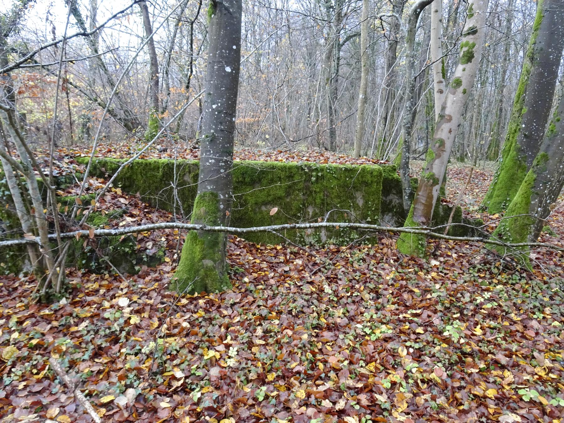 Ligne Maginot - BREHAIN - (Casernement) - Les restes du casernement