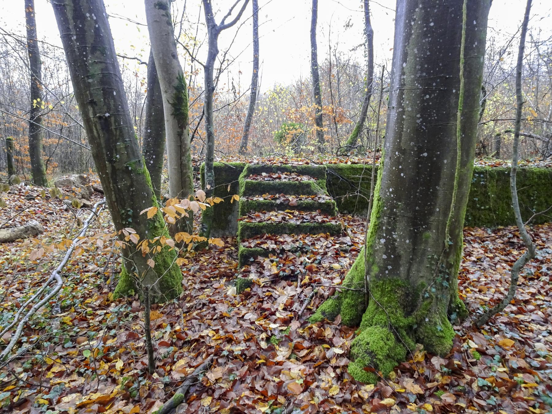 Ligne Maginot - BREHAIN - (Casernement) - Les restes du casernement