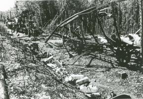 Ligne Maginot - 373° Régiment d'Artillerie Lourde sur Voie Ferrée (373° RALVF) - Train ALVF détruit près de Altenach (68).
Probablement un convoi du 373° RALVF en place dans ce secteur