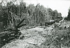 Ligne Maginot - 373° Régiment d'Artillerie Lourde sur Voie Ferrée (373° RALVF) - Train ALVF détruit près de Altenach (68).
Probablement un convoi du 373° RALVF en place dans ce secteur