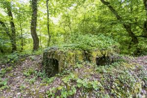 Ligne Maginot - ROUTE DE L'HIMERTEN NORD - (Blockhaus pour arme infanterie) - 