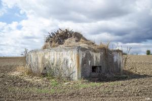 Ligne Maginot - TATTENHOLZ 3 - (Blockhaus pour arme infanterie) - 