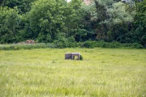 Ligne Maginot - TETING NORD 1 - (Blockhaus pour arme infanterie) -                  