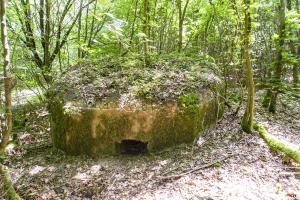 Ligne Maginot - BUCHENHUEBEL 1 - (Blockhaus pour arme infanterie) - 