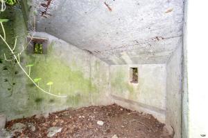 Ligne Maginot - BUCHENHUEBEL 1 - (Blockhaus pour arme infanterie) - 