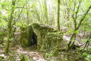 Ligne Maginot - BUCHENHUEBEL 1 - (Blockhaus pour arme infanterie) - 