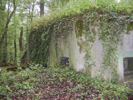 Ligne Maginot - M67B - BOIS DE BRILL 2 - (Blockhaus pour arme infanterie) - Vue générale