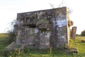 Ligne Maginot - MUEHLGEWANN - (Blockhaus de type indeterminé) - 