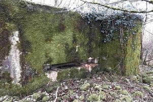 Ligne Maginot - NONNENWALD 15 - (Blockhaus pour canon) - 