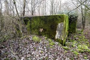 Ligne Maginot - NONNENWALD 15 - (Blockhaus pour canon) - 