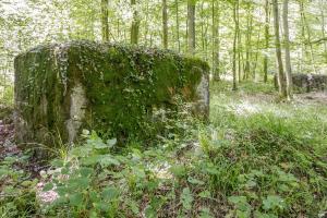 Ligne Maginot - UBERNIED 1 - (Blockhaus pour arme infanterie) - Les blockhaus Ubernied 1 et 2