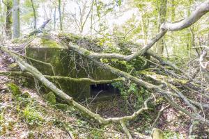 Ligne Maginot - UBERNIED 12 - (Blockhaus pour arme infanterie) - 